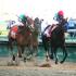 Kentucky Derby 2021